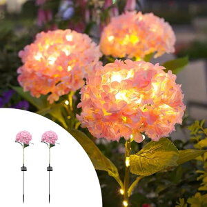 \[[Cg  AfUC h O K[f fBXvC ԏƖ  뉀  _ gF ȃGl 2{Zbg  Vv