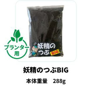 �d���̂� BIG �͔� �엿