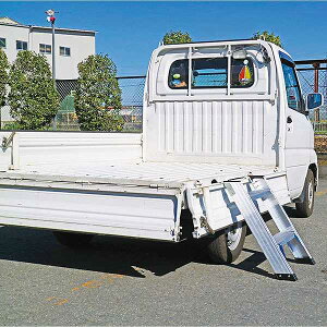 �y�������z �y�g���ב�p�n�V�S CWS65