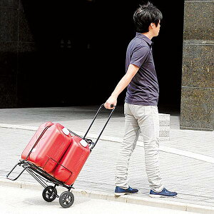 yz cR[|[V yL[E^EzEVbsOEK[fjOEƁz K[ht L[J[g 39×53×96cm GCC40BK