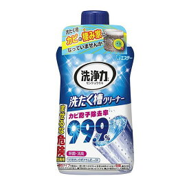 【送料込】 洗浄力 洗たく槽クリーナー 550g