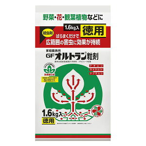 yz ZFw| ƒ뉀|pGFIg 1.6kg
