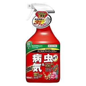 yz ZFw| xjJXt@CXv[ 1000ml