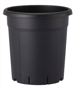 yzAbvEFA[ ʎ 310^ ubN@31×32cm yeʖ14L