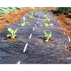 yz Gʂ̂鍕}` 0.02mm@135×20m