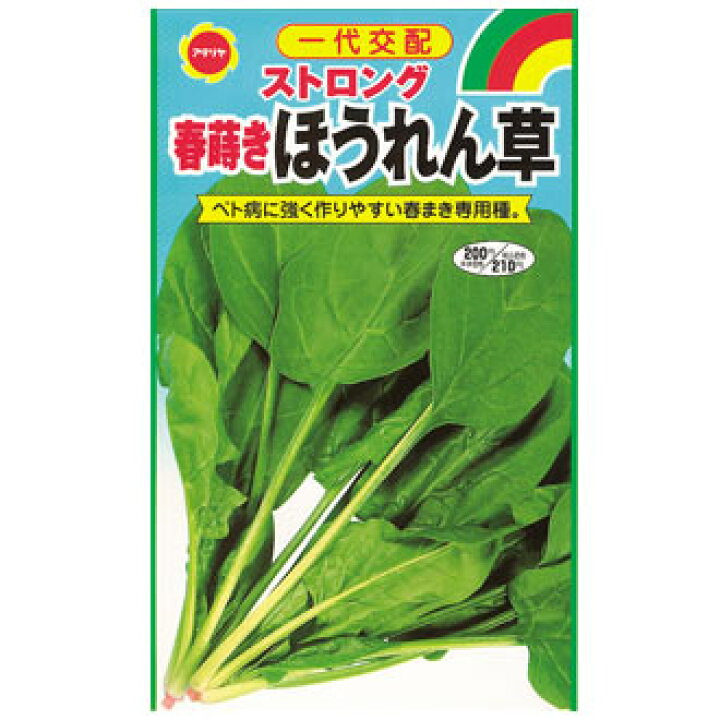 楽天市場 送料込 春まきほうれん草ストロング 春野菜の種 １７１オンラインショップ