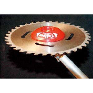 y݁z @p WYCU[ ZAT[H20A