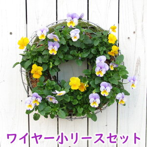 yC[Zbgzԕcō nMO[X Ǌ| bV^Cv[FMP01-30GZbg]NX}X[X rI[X