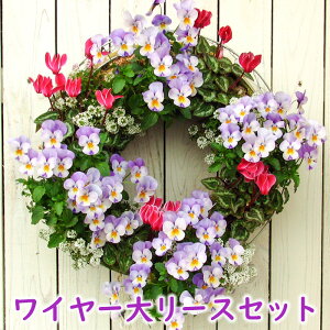 yC[Zbgzԕcō nMO[X Ǌ| bV^Cv[FMP01-40GZbg]NX}X[X rI[X