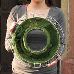 yC[JŜ݁zԕcō nMO[X Ǌ| PiiFMP01-30Ĝ݁jNX}X[X rI[X