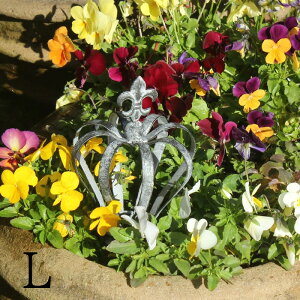 ACA  K[fsbN V[g NE  Gu L 21.5cm 10cmi6184j