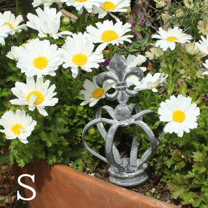 ACA  K[fsbN V[g NE  Gu S 16cm 6.5cmi6185j