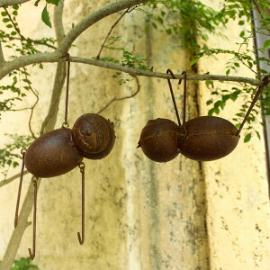 uL i}Pm nMO I[ig ϗtA nK[bN 킢i4924j