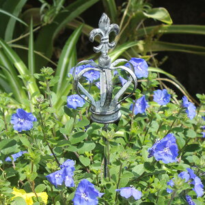 ACA  K[fsbN NE S 39.5cm  Gui6187j