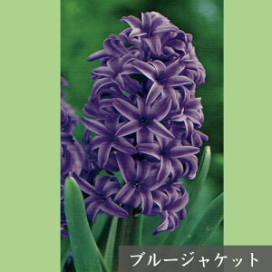 qVX 勅  ͔|p ώ@p ^LC  xtlbg 1[H]