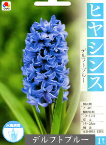 y ubNtCf[2025 zqVX 勅  ͔|p ώ@p ^LC  xtlbg 1[H]