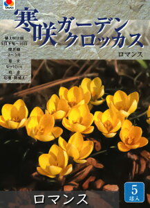 yZ[z炫 K[f NbJX 5Gܓ ^LC HA iHAt炫j[H]