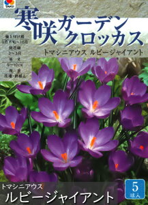 yZ[z炫 K[f NbJX 5Gܓ ^LC HA iHAt炫j[H]