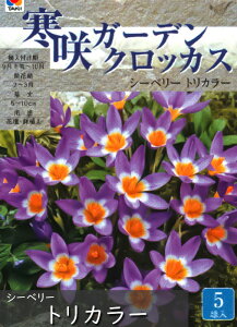 yZ[z炫 K[f NbJX 5Gܓ ^LC HA iHAt炫j[H]