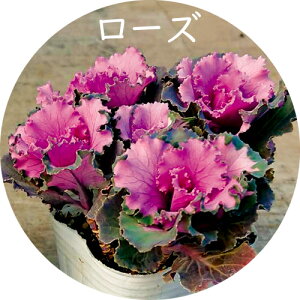 ~j tO bt 4{d t^Cv 3 Gi [~c\]