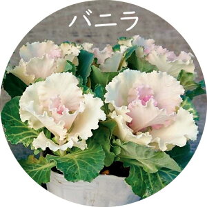 ~j tO bt 4{d t^Cv 3 Gi [~c\]