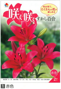 yZ[z炭炭 S 勅  2GܓHA[H]