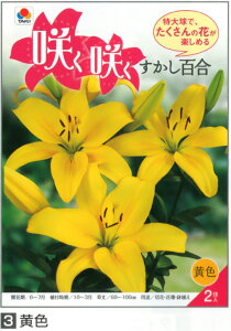 yZ[z炭炭 S 勅  2GܓHA[H]