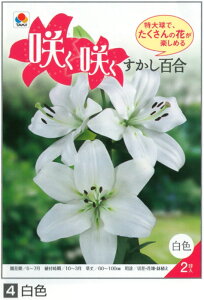 yZ[z炭炭 S 勅  2GܓHA[H]