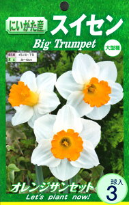 yZ[zbp 炫  XCZ ^LC HA  NJ G3[H]