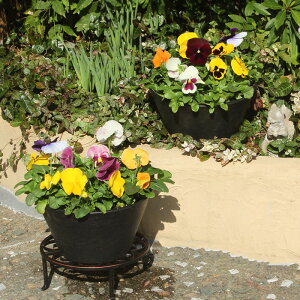 yԔzpW[ Jt FA A 9 JԔ [ Mtg Ε