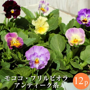 t炫rIitpW[jVi탂RR mococo AeB[N ԕc 12|bg~bNXZbg[~N] lCY id