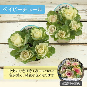 ~j tO  zCg ubN 4`5{d ZbVV[Y session 3 [~c\]