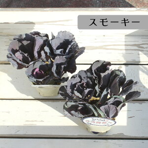 ~j tO  zCg ubN 4`5{d ZbVV[Y session 3 [~c\]