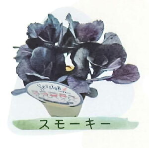 ~j tO  zCg ubN 4`5{d ZbVV[Y session 3 [~c\]