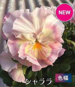 | Vi W pXeF Fω pW[ RNV 3[Hc\]