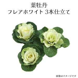 ~jtO tAzCg 3{d 2.5O|bg[~c\]