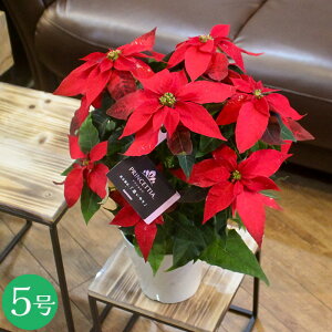 Tg[ vZ`A sAbh 5 v~A |CZ`A