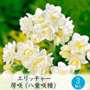 [炫 XCZ F ^LC HA G3[H]