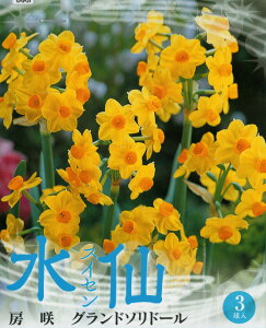 yZ[z[炫 XCZ F ^LC HA G3[H]