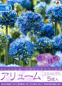 yZ[zAő A[ ^LC HA Gܓ[H] AE Ϗܗp ˂ K lM lMV