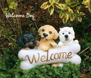 D 킢  u EFJ TCi11645j