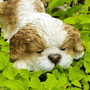  u X[sO hbO V[Y[ I[igi13575j