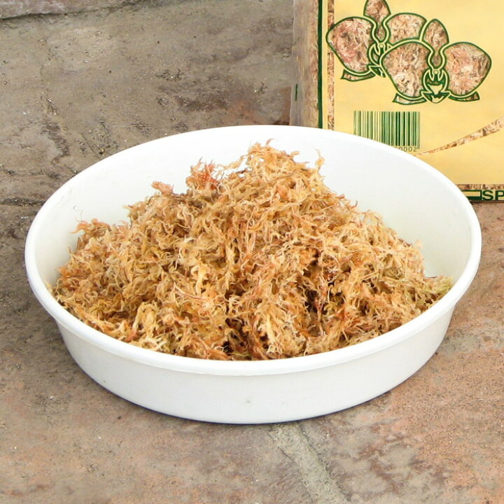 楽天市場】ペルー産 A級 水苔 150g(ハンギング リース用資材)ミズゴケ : 花苗園芸店なごみ 楽天市場】ペルー産 A級 水苔 150g(ハンギング リース用資材)ミズゴケ : 花苗園芸店なごみ