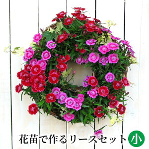 ビオラ 寄せ植え 鉢の人気商品 通販 価格比較 価格 Com