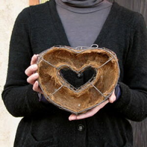 n[g^ ~j~j [X nMO Ǌ| i043005j