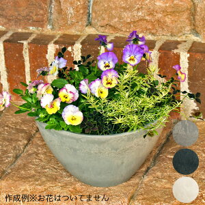 M` Eh v^[ 񂹐Ap  8iLj