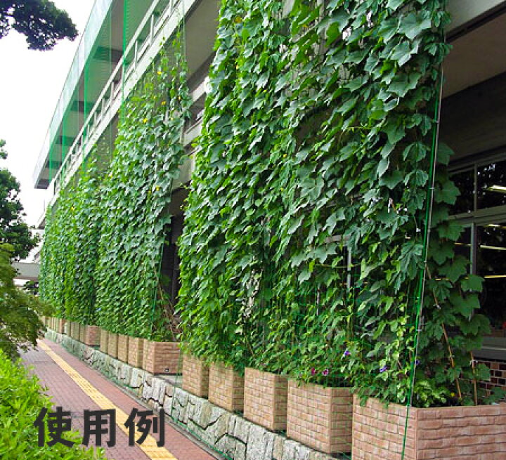 楽天市場 園芸ネット 花すだれ 1 8m 3 6m ツル性植物 グリーンカーテン 花苗園芸店なごみ