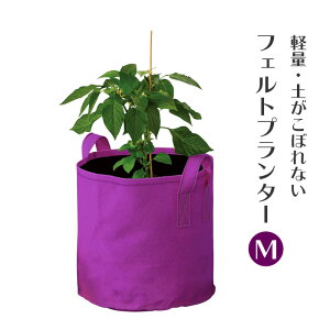 tFgv^[ M p[v 11.5 FL-02P