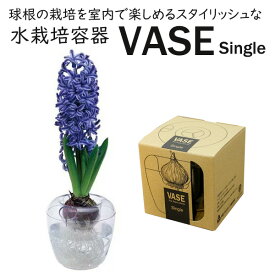 【対象商品】 水栽培容器 ヒヤシンス 球根用 VASE Single シングル 1球用