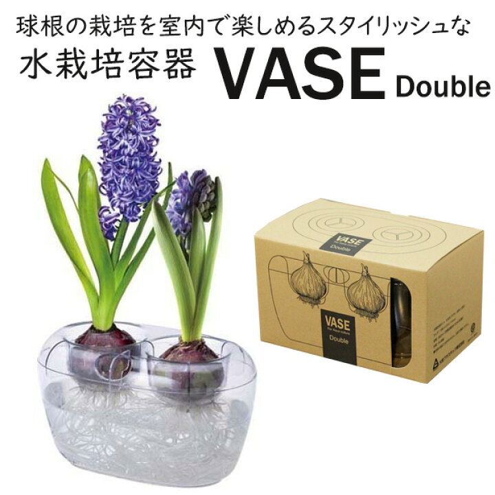 楽天市場 水栽培容器 ヒヤシンス 球根用 Vase Double ダブル 2球用 花苗園芸店なごみ